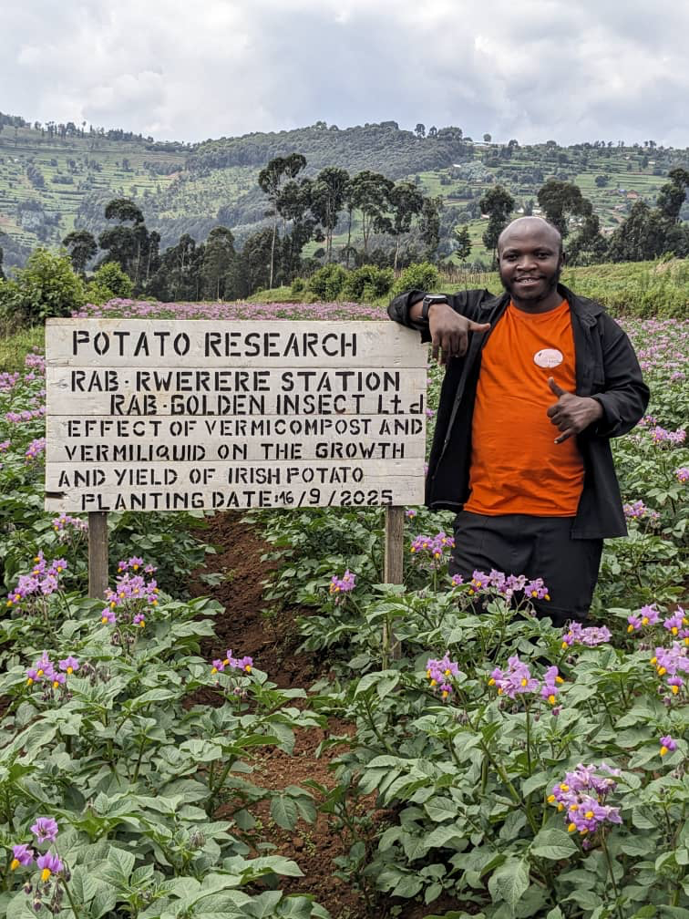 Rwandan farmland with compost rows
